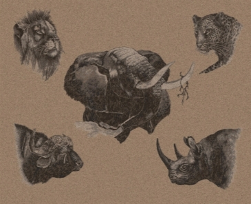 Jacquard Cashmere Throw - Animals - Cashmere Blanket with the "Big Five": Elephant, Leopard, Buffalo, rhinoceros and Lion