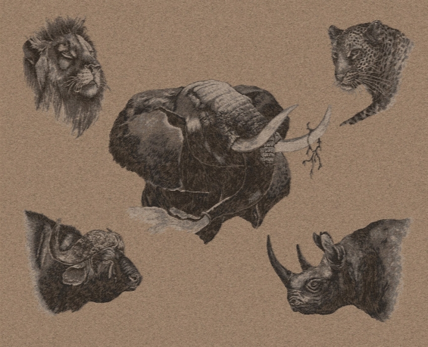 Jacquard Cashmere Throw - Animals - Cashmere Blanket with the "Big Five": Elephant, Leopard, Buffalo, rhinoceros and Lion