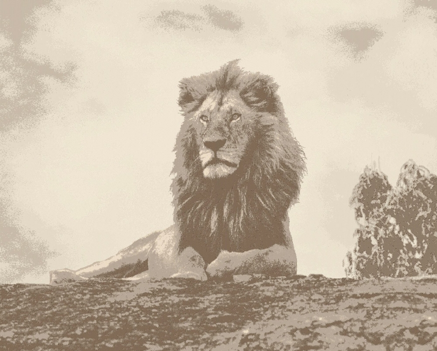 Jacquard Cashmere Throw - Lion