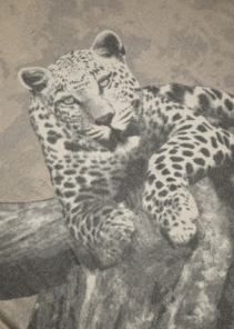 Jacquard Cashmere Throw - Leopard