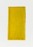 Sciarpa cashmere senape | Stole in cashmere Toosh