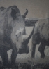 Jacquard Cashmere Blanket - Rhinos