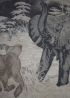 Jacquard Cashmere Throw - Lioness Elephants