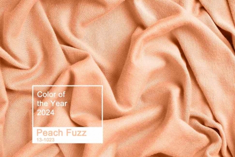 Peach Fuzz: Toosh interprets the colour shade of 2024