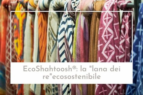 EcoShahtoosh®: the eco friendly and cruelty-free "king of wools"
