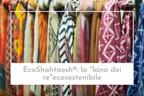 EcoShahtoosh®: la "lana dei re" ecosostenibile e cruelty-free